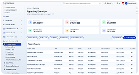 Financial statements and reporting