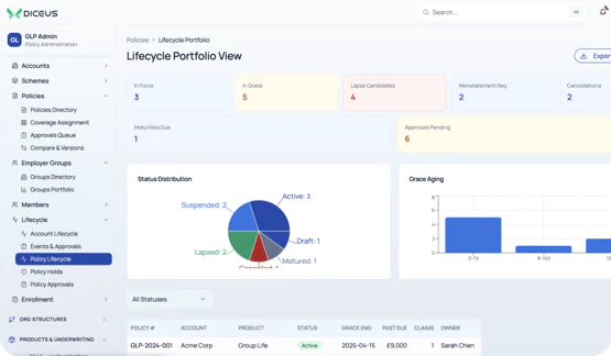Lifecycle portfolio view