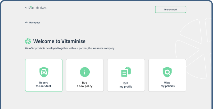 Vitaminise Web Portal welcome screen