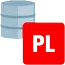 PL/SQL