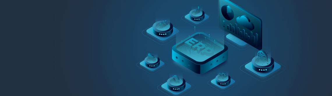 ERP implementation lifecycle