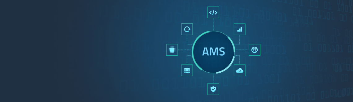 custom AMS system development
