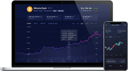 Web-based binary option platform on cryptocurrencies picture
